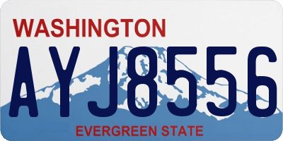 WA license plate AYJ8556