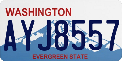 WA license plate AYJ8557