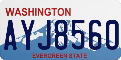 WA license plate AYJ8560