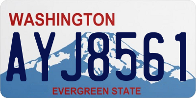 WA license plate AYJ8561
