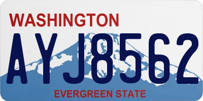 WA license plate AYJ8562