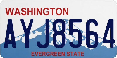 WA license plate AYJ8564