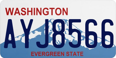 WA license plate AYJ8566