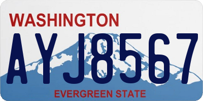 WA license plate AYJ8567