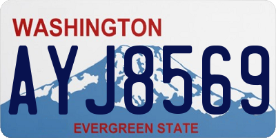 WA license plate AYJ8569