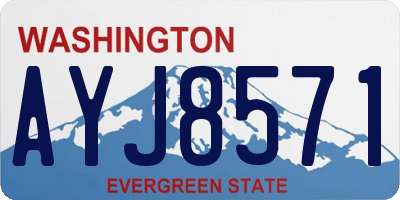 WA license plate AYJ8571