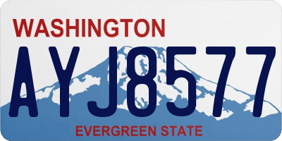 WA license plate AYJ8577