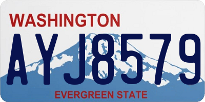 WA license plate AYJ8579