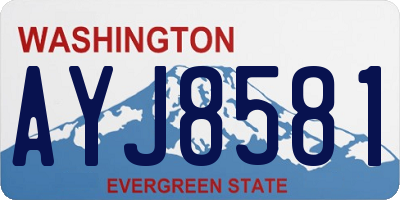 WA license plate AYJ8581