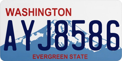 WA license plate AYJ8586