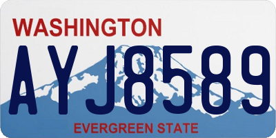 WA license plate AYJ8589