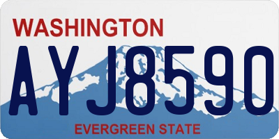 WA license plate AYJ8590