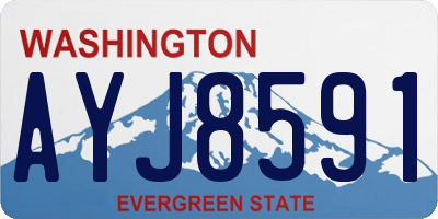 WA license plate AYJ8591