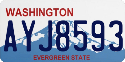 WA license plate AYJ8593