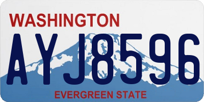 WA license plate AYJ8596
