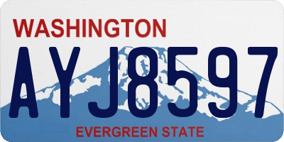 WA license plate AYJ8597