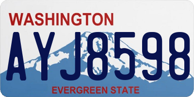 WA license plate AYJ8598