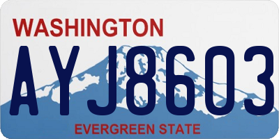 WA license plate AYJ8603