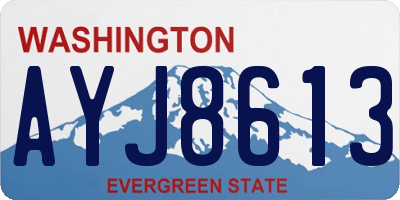 WA license plate AYJ8613