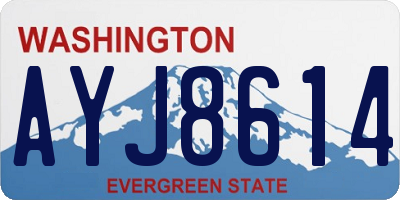 WA license plate AYJ8614