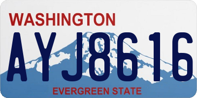 WA license plate AYJ8616