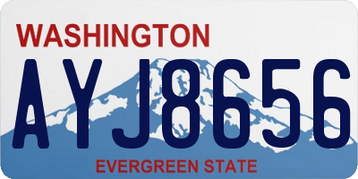 WA license plate AYJ8656