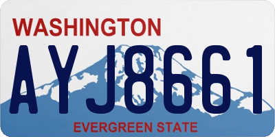 WA license plate AYJ8661