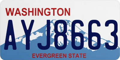 WA license plate AYJ8663