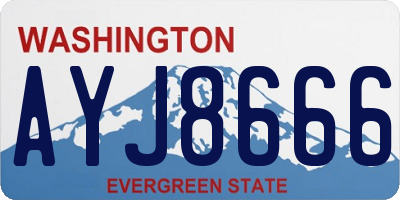 WA license plate AYJ8666