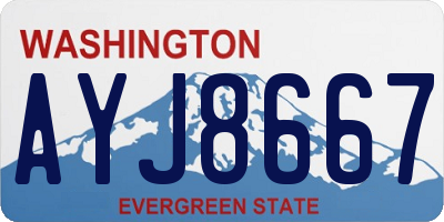 WA license plate AYJ8667