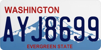 WA license plate AYJ8699