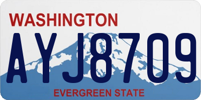WA license plate AYJ8709