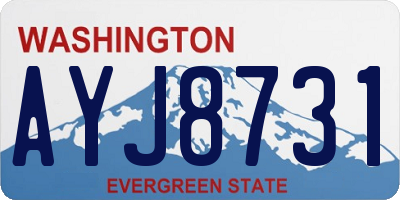WA license plate AYJ8731