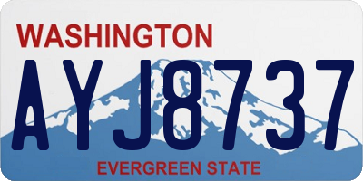 WA license plate AYJ8737