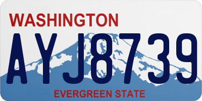 WA license plate AYJ8739