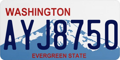 WA license plate AYJ8750