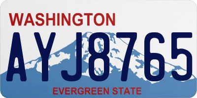 WA license plate AYJ8765