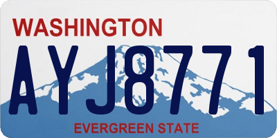 WA license plate AYJ8771