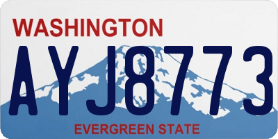 WA license plate AYJ8773
