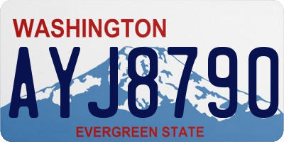 WA license plate AYJ8790
