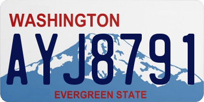 WA license plate AYJ8791