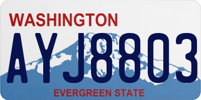 WA license plate AYJ8803