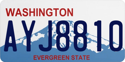 WA license plate AYJ8810