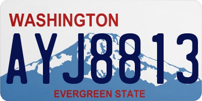 WA license plate AYJ8813