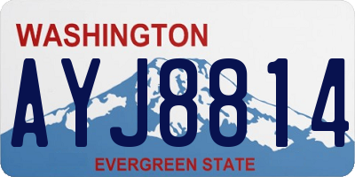 WA license plate AYJ8814
