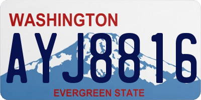 WA license plate AYJ8816