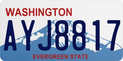 WA license plate AYJ8817