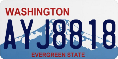 WA license plate AYJ8818