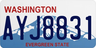 WA license plate AYJ8831