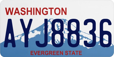 WA license plate AYJ8836